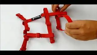 Katzengeschirr Sicherheitsgeschirr Beroni&reg; Safety Harness ausbruchsicher