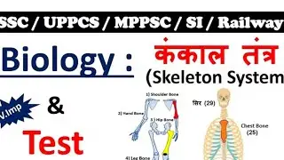SKELETON SYSTEM PART 3/ कंकाल तंत्र/पलक झपकते ही वीडियो ✅
