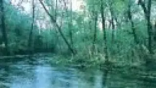 Mystery of the Irish Wilderness book trailer