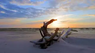 The ocean stirs the heart, inspires the imagination, and brings eternal joy to the soul