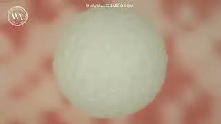 هدية جميلة ان شاء الله تعجبكم #وليد_عبده 