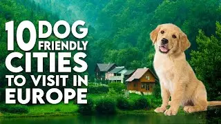 10 Dog Friendly Cities to Visit in Europe