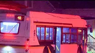 DDOT bus crashes into power pole