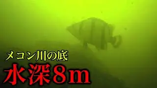 メコン川へ潜って虎柄の熱帯魚を捕獲する！