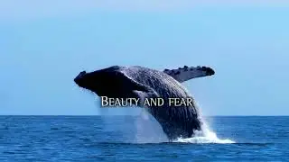 Twice A Man&nbsp;- Across the Ocean [Official Lyric VIdeo]