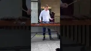 Xylophon - Stra&szlig;enmusik in Frankfurt #shorts #video #musik #viral #vlog #new #youtub #instrument