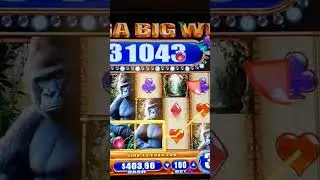 Major Progressive WMS Queen Of The Wild #progressive #casino #wms #like #subscribe