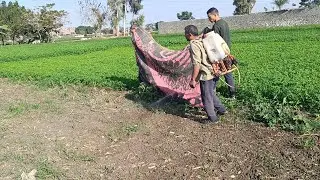 الفلاح الفصيح حمزه الجمل 