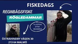 REGNBÅGSFISKE RÖGLE DAMMAR 1/2 (OKTOBER 2024)