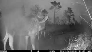 Rajakaamera/ Wildcamera vol 36