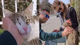A Pure Friendship Between a Street Cat & a Human &ndash; A Bond Like No Other! | Love Street Cats