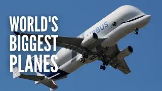 These are the 15 Biggest Planes in the World