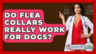 Do Flea Collars Really Work For Dogs? - Ask A Pet Vet
