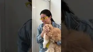 Adoptamos un nuevo integrante de la familia, mis demás gatitos se pusieron celosos