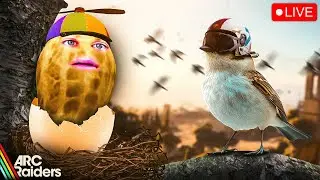 🔴LIVE | ARC NUTTERS | 2x FIRE RATE LETS GO | BIRD CITY LETS GOOOO | CAW - CAW!!!!! | #BUNGULATE