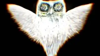 Terra Livre - Coruja (lyric video)