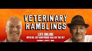 Life Online With Cat Henstridge AKA Cat The Vet