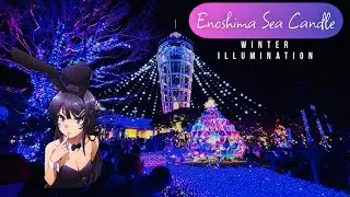 Winter in Enoshima: Magical Illuminations & the Landscapes of Seishun Buta Yarou