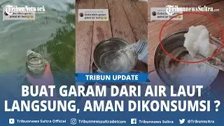 Video Viral Tiktoker Asal Sultra Rival Amir Tunjuk Cara Buat Garam Dari Air Laut, Aman Dikonsumsi?
