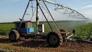 Linear pivot Bauer