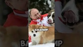 Путин и его собаки | #dog #собаки #shorts
