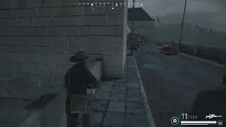 Vigor fail 2023