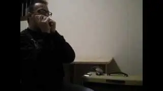 bluexlab harmonica  microphone