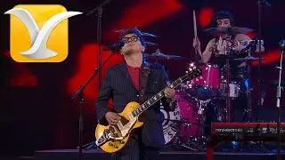Los Bunkers - El Necio - Festival Internacional de la Canción de Viña del Mar 2024 - Full HD 1080p.