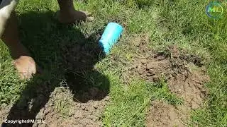 Easy Deep Hole Fish Trap Using PVC Water Pipe - A Simple Way To Catch A Lot Of Fish By Smart Boy