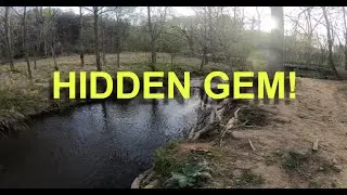 TROUT FISHING HIDDEN GEM TROUT STREAM IN BLUE RIDGE VA!