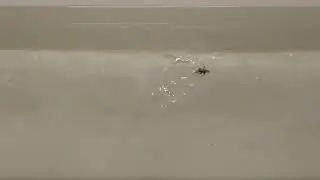 Heta vaapun Bleak 55 ice pilkki/ kuolleenuinnin jigi uinti.