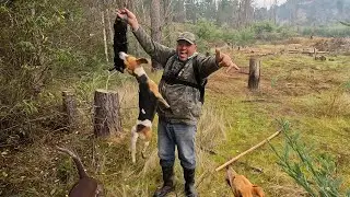 #20 - Atrapamos el Conejo Negro!! Cacer&iacute;a de Conejos con Galgos! Conejeando 2025 Capitulo N&deg;20
