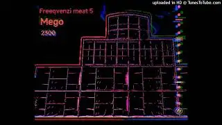Mego Frequency meeting 5