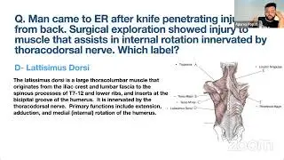 Быстрый обзор опорно-двигательного аппарата USMLE, шаг 1 | Доктор Апурва Попат