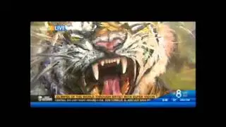 Concetta Antico Tetrachromat Art on KFMB TV (2)