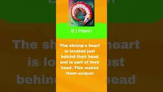 Animal With heart in head. #shorts #generalculture #knowledge #quizchallenge #quizgame #didyouknow