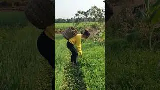 Hello everyone, how are you today? #cooking #farming #building #countrylife #dailyvlog #disabled