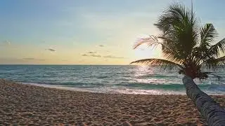 beautiful sunset at tropical