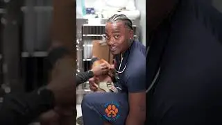 🐾 Stitch Removal Day! Taking Out Sutures After a Dog&rsquo;s Surgery | Soft Paws Animal Clinic 🐶🩺