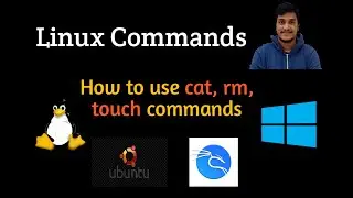3. How to use cat, rm, touch commands in linux l cat l rm l rmdir l touch l Video-3 l Cognitive Hub