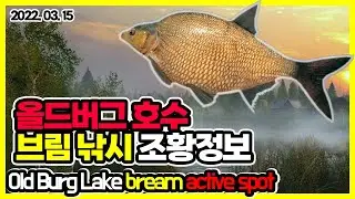 러시안피싱4│220315 올드버그 호수 브림 낚시 조황정보