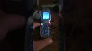 SAMSUNG SGH-X450