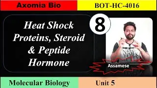 Heat Shock proteins|Steroid & peptide hormone| Unit 5 || Class 8 || Axomia Botany || BOTANY MAJOR GU