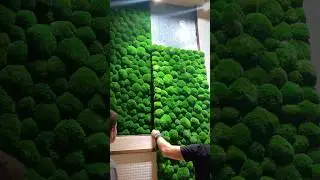 Artwork installation in a modern caf&eacute; #mosswall #mossart #cafedecor #cafevibes #walldecor #greenart