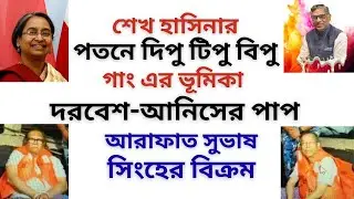 শেখ হাসিনার পতনে দিপু টিপু বিপু গাং ! দরবেশ আনিসের পাপ ! আরাফাত সুভাষ সিংহের দাপট ! 