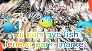 Aaj hum gye fish lene cr park market 