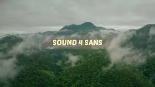 RELAXING INSTRUMENT SAPE MUSIC FOR DEEP SLEEP FROM BORNEO KALIMANTAN | BEAUTIFUL SOUNDS