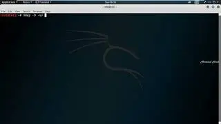 Operating system identification with Nmap   Kali Linux  OS Detection with Nmap in Kali Linux