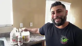 Procyon soap free carpet cleaning solution/ best none toxic carpet cleaning Products/ review