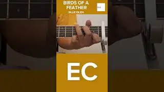 Birds Of Feather | EC Finger Snap | Billie Eilish